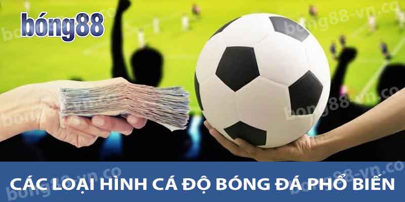 Hướng Dẫn Cá Độ Bóng Đá Bong88 - Các Loại Cược Phổ Biến 2 Các loại hình cá độ bóng đá phổ biến