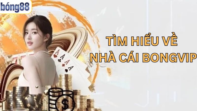 BONGVIP - Thiên Đường Cá Cược Được Yêu Thích Nhất 2025 1 Vài nét nổi bật về sân chơi nổi bật