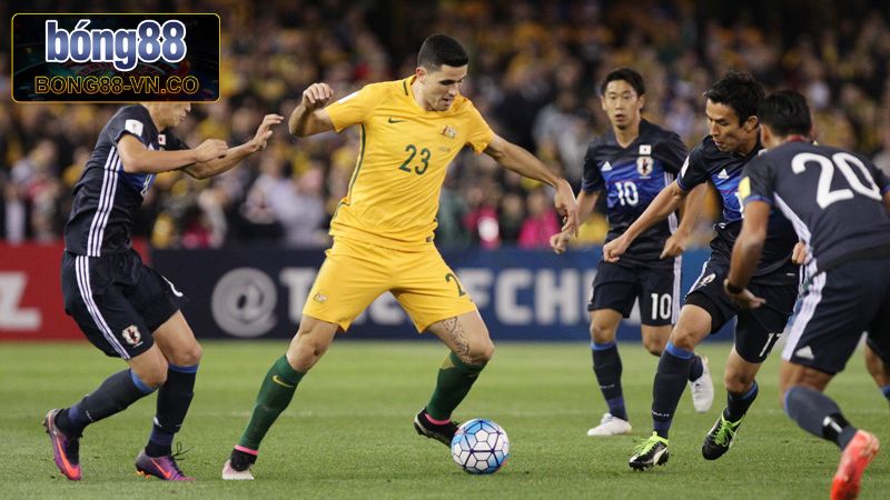 Australia Vs Nhật Bản - Soi Kèo 18:10 Ngày 5/6 Từ Bong88 2 Khám phá tin tức về lịch sử ra sân Australia vs Nhật Bản