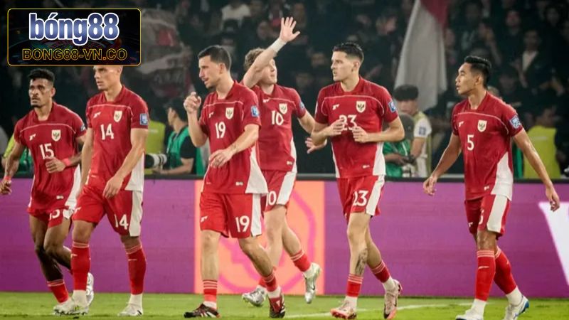 Nhật Bản Vs Indonesia Trận Đấu 17h35, Ngày 10/6 Từ Bong88 3 Phong độ hiện có của đội tuyển Indonesia